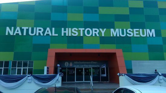 Natural History Museum